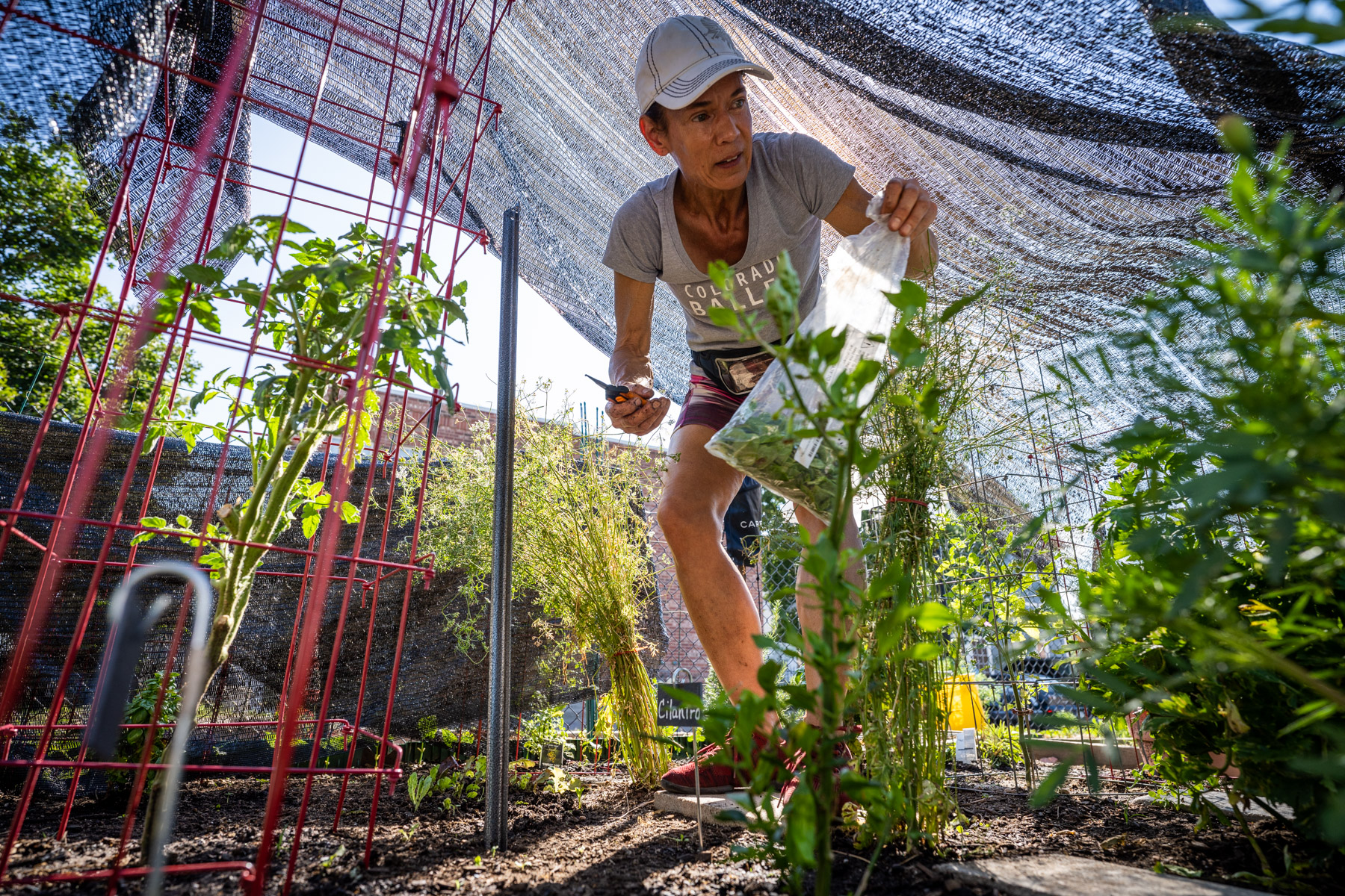 Gardening